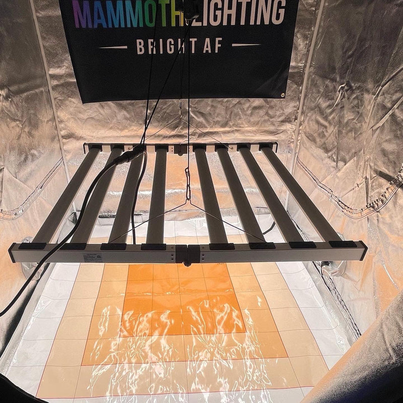 Mammoth Lighting Mint 8 Bar | 880W, Emerald Green Spectrum | PRE-ORDER - Ships ~30 days from order date