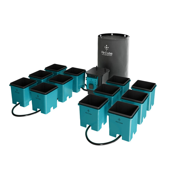 AirCube Active Oxygen Ebb & Flow Grow System - 12 Site - Backyard Provider