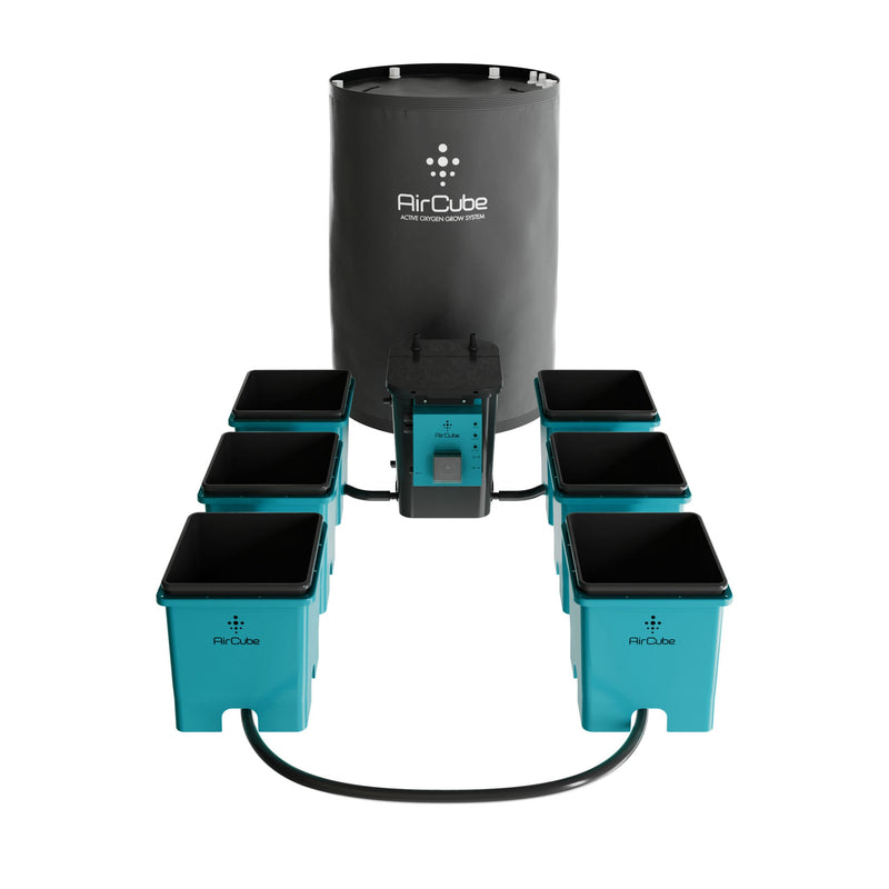 AirCube Active Oxygen Ebb and Flow Grow System - 6 Site - Backyard Provider