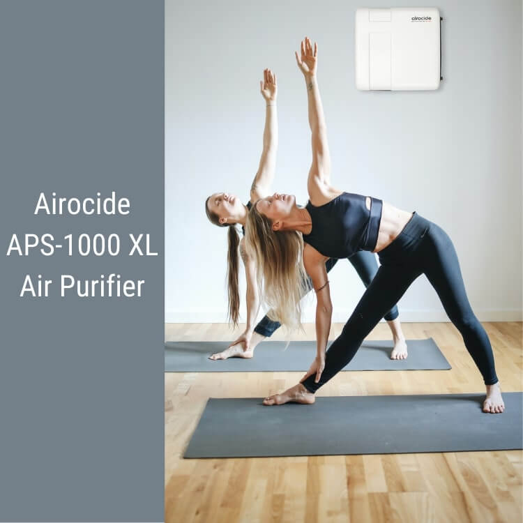 Airocide APS-1000XL / GCS-25 Large Space Bacteria, Viruses and Mold Air Purifier - ACP1000X