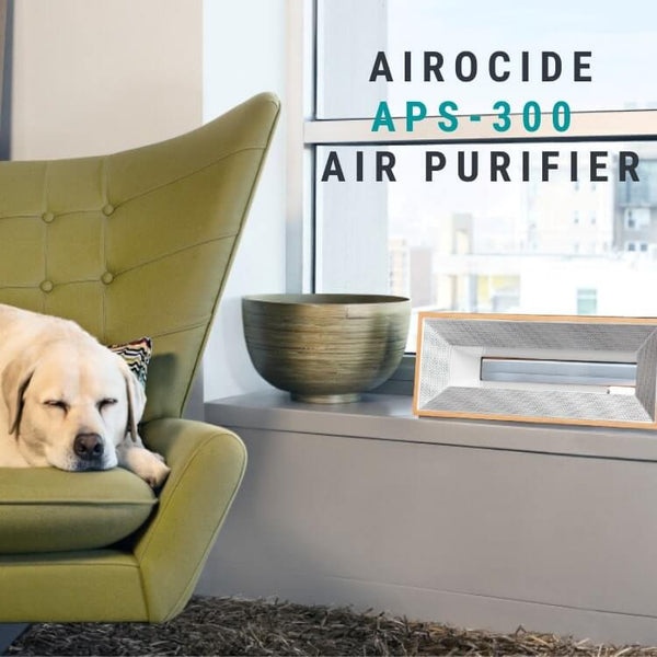 Airocide True Filterless APS-300 Bacteria, Viruses and Mold Air Purifier