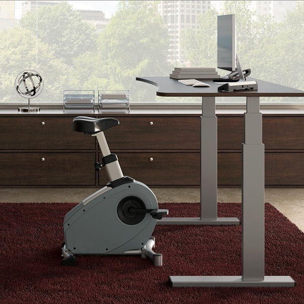 Lifespan C3 DT3 Under Desk Bike CT3-DT3