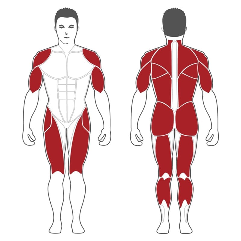 Steelflex Squat Deadlift Lunge - PL2300