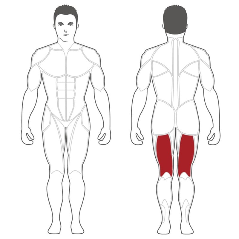 Steelflex Plate Loaded Leg Curl - PLLC