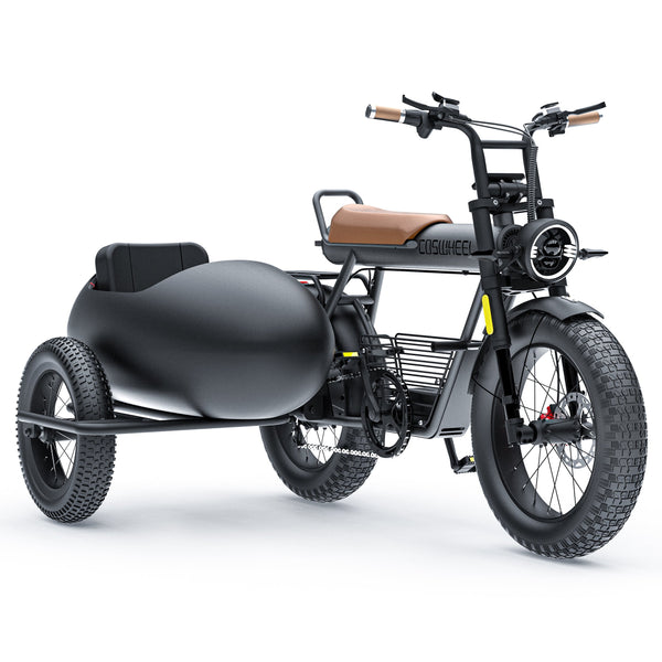 SIDECAR FOR CT20 EBIKE - Backyard Provider