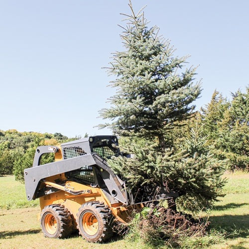 K & M Manufacturing GreyWolf™ Skid Steer Tree Puller Attachment