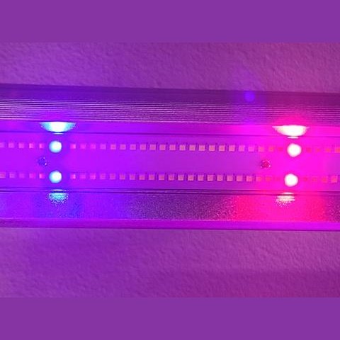 Optic LED Slim 650S Dimmable LED Grow Light 650W 120 Degree 3500K