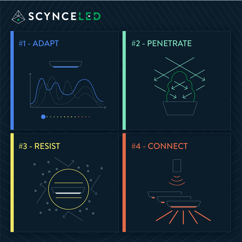 Scynce LED Raging Kush II