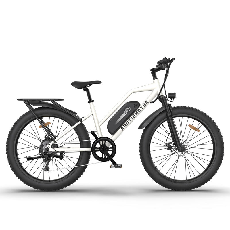 Aostirmotor S07-G 48V/13Ah 750W Electric Commuter Bike