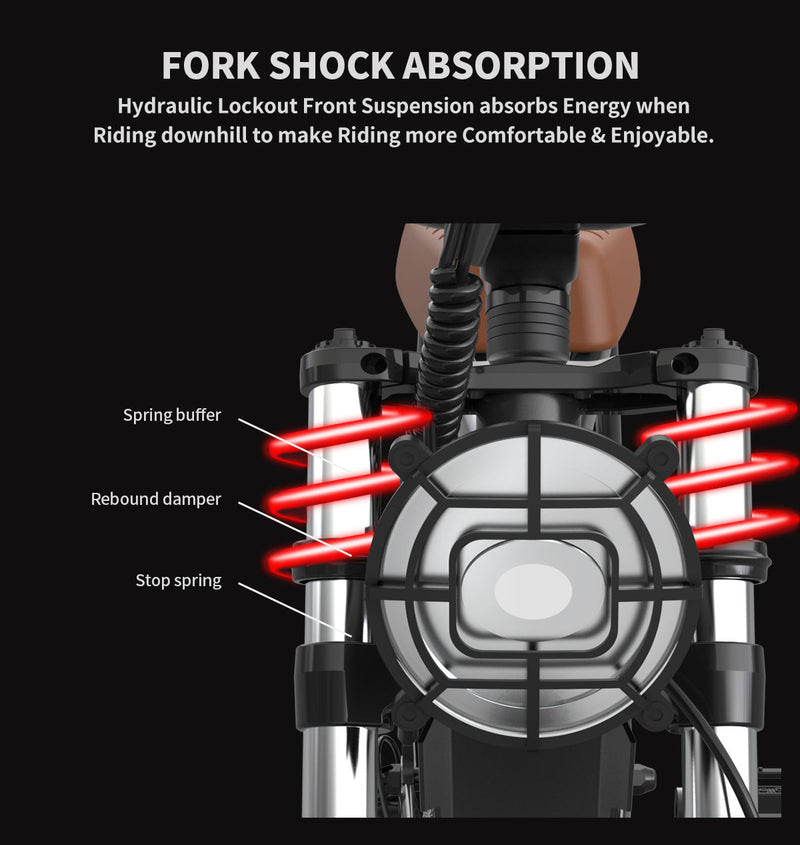 Aostirmotor Storm 750W 48V Fat Tire Electric Bike