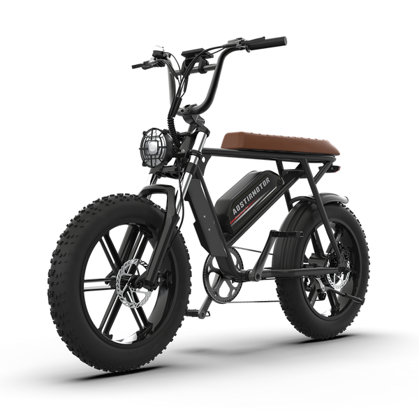 Aostirmotor Storm 750W 48V Fat Tire Electric Bike