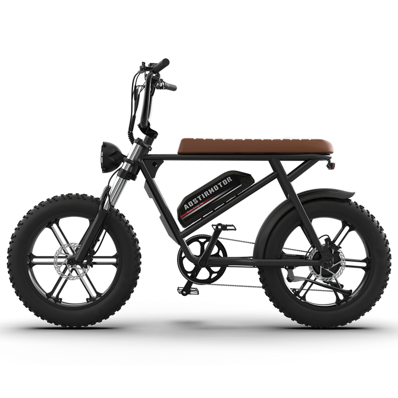 Aostirmotor Storm 750W 48V Fat Tire Electric Bike