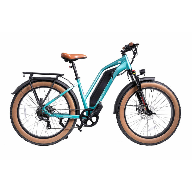 DWMEIGI Artemis 48V/16Ah 750W Fat Tire Electric Bike