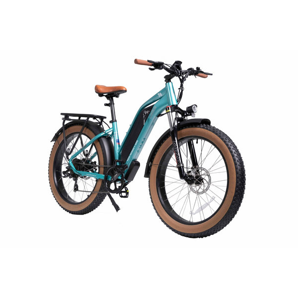 DWMEIGI Artemis 48V/16Ah 750W Fat Tire Electric Bike