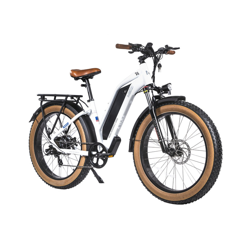 DWMEIGI Artemis 48V/16Ah 750W Fat Tire Electric Bike