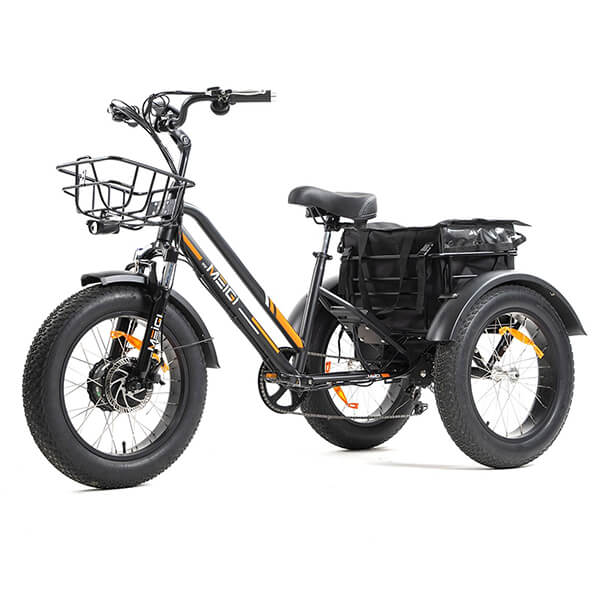 DWMEIGI Zeus 48V/18.2Ah 750W Fat Tire Electric Trike