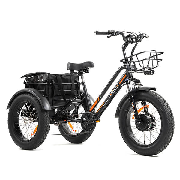 DWMEIGI Zeus 48V/18.2Ah 750W Fat Tire Electric Trike