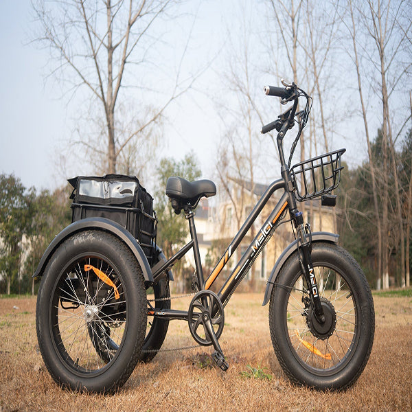 DWMEIGI Zeus 48V/18.2Ah 750W Fat Tire Electric Trike