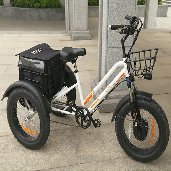 DWMEIGI Zeus 48V/18.2Ah 750W Fat Tire Electric Trike